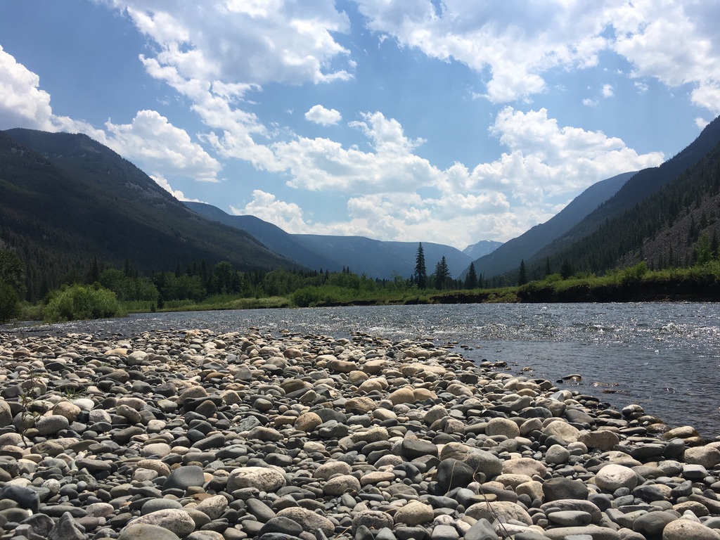 Montana Fly Fishing